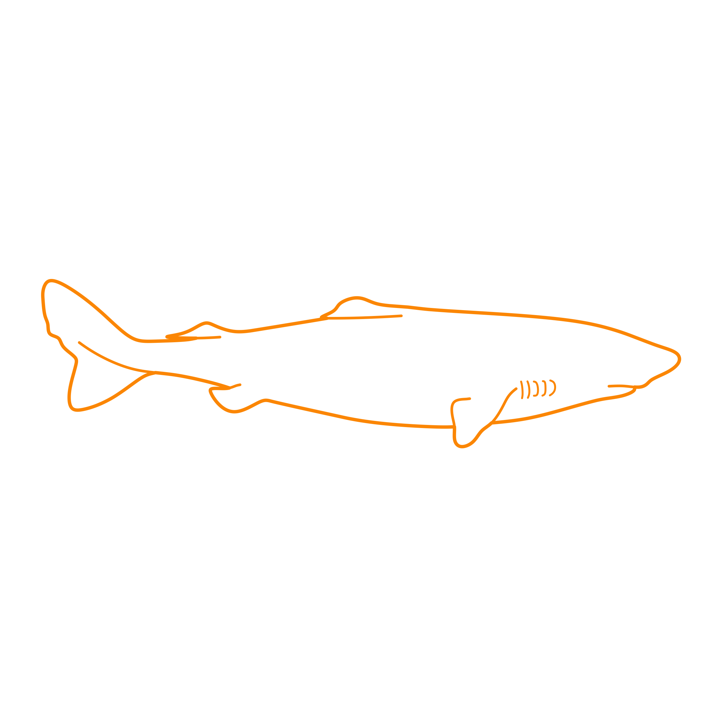 Animals Sharks Pacific Sleeper Shark Vinyl Svg File Free Vectors